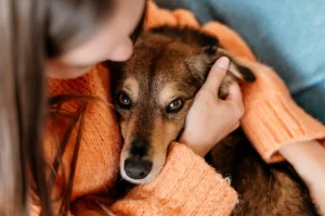 Coping with pet loss