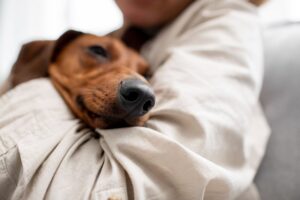 grief after euthanizing a pet